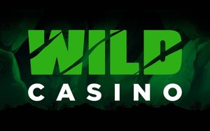 Wild Casino Logo del casinò
